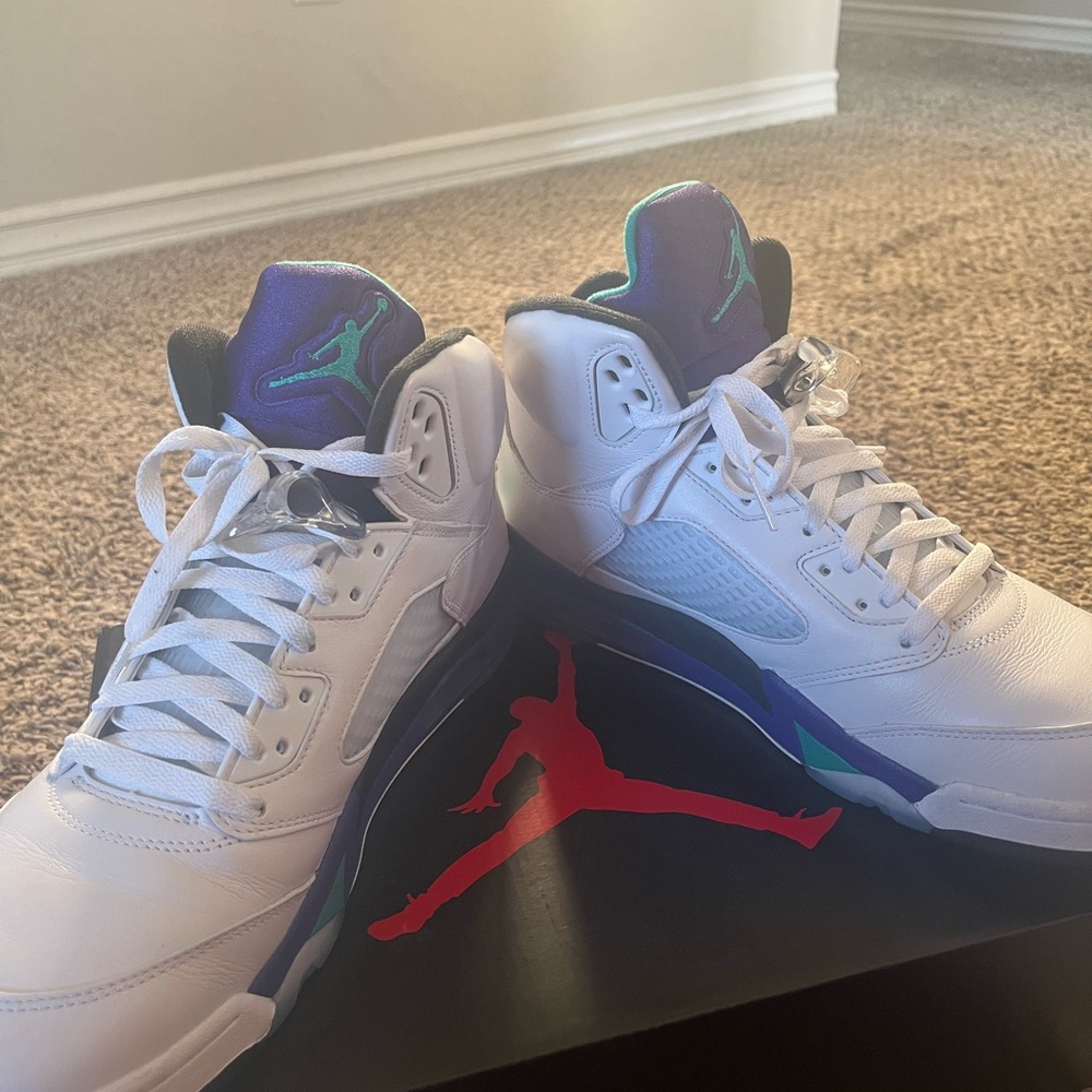 Jordan 5 grape